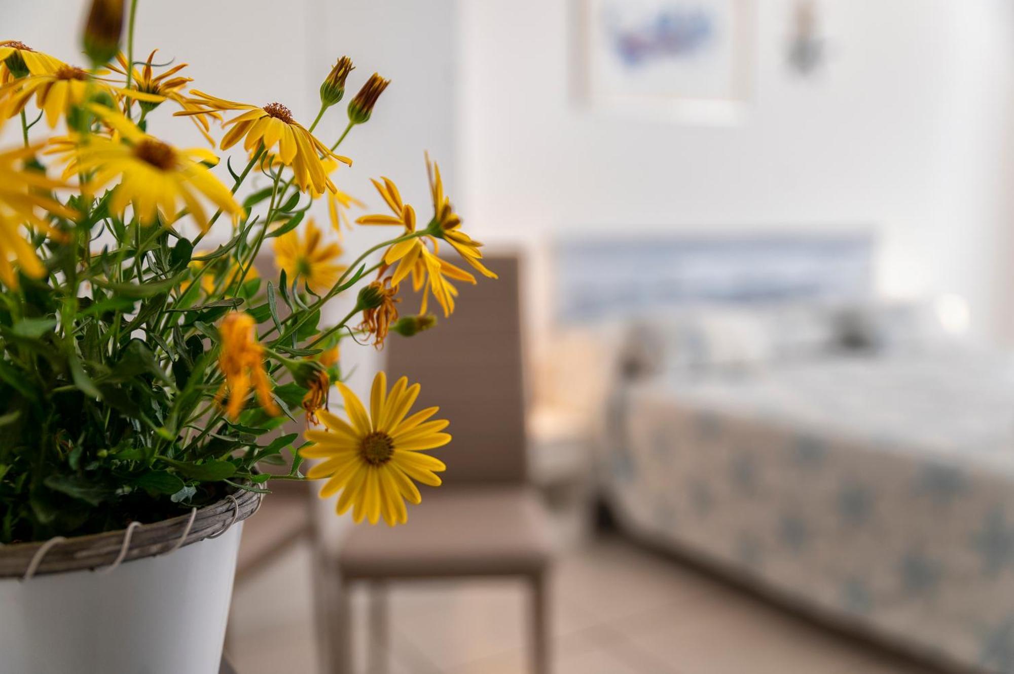 Horizon Bed and Breakfast Alghero Buitenkant foto